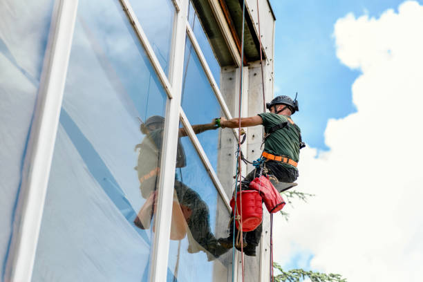 Professional Windows and Door Installation & Repair in Coopertown, TN